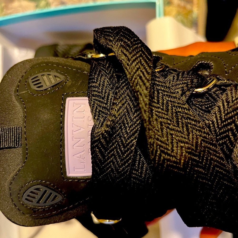 Lanvins shoes